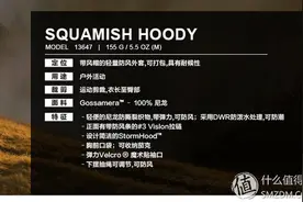 年轻大叔的减肥之路 篇三：ARC'TERYX 始祖鸟Squamish Hoody 皮肤风衣图片