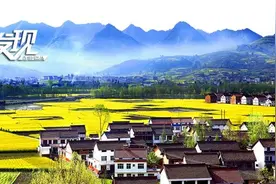 西安下月起加开至汉中旅客列车 35元赏最美油菜花图片