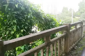 四川广安：城南这个地方很多人都来过，就是叫不出它的地名！视频封面
