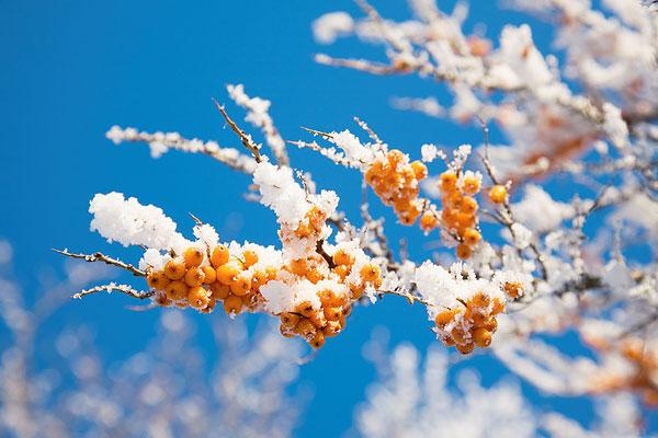 浜嗚В蹇呴渶姘ㄥ熀閰革紝鍚冩纭殑椋熺墿