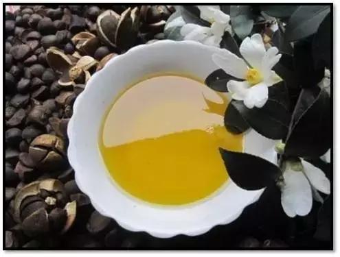 橄榄油毛囊角化症