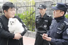 狗狗被逮住了，这可怎么办！视频封面