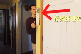 像猫的朋友和像狗的朋友的对比，在国外有2500万次播放视频封面
