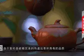 辽宁的绝世芳华——紫玉金沙！图片