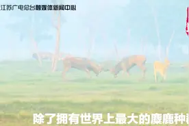 盐城：空气质量全江苏第一 全国十大“洗肺”城市之一视频封面