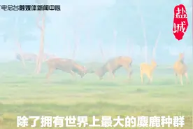 盐城：空气质量全江苏第一 全国十大“洗肺”城市之一视频封面