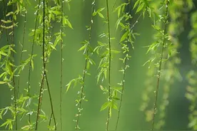 春雨绵绵雾气沉沉 如何为爱车祛湿？图片