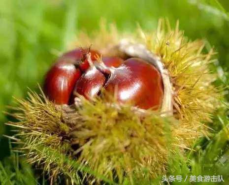 去丹东不可错过的美食，收藏