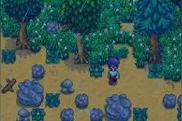 星露谷物语stardew valley虚空蛋有什么用 虚空蛋孵化方法图片