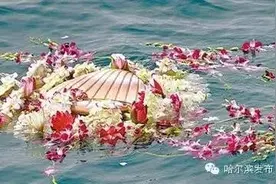 冰城新闻今年哈尔滨市不定期举办海葬活动｜清明节前后将进行两次图片