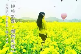 山楂树之恋以后，我在夷陵花田等你把我执手而牵图片