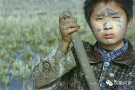 挖泥鳅的学童图片