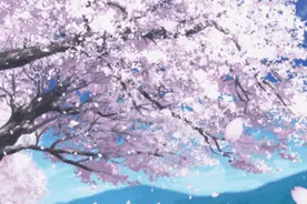 苏州及周边最美的樱花大道，已经美疯了！一起淋场樱花雨~图片