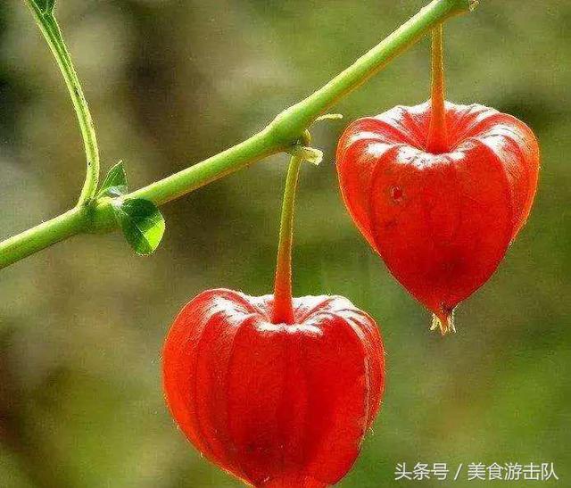 去丹东不可错过的美食，收藏