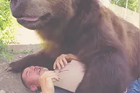 夫妻俩20余年收养了11只“熊孩子”，感情非常好，共谱人熊神话！