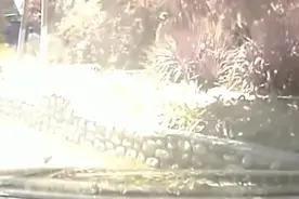 小伙骑车带女友上街，车祸的瞬间，男友爬起就跑！女友都不要了！视频封面