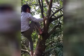 小乞丐的故事《第一集》视频封面