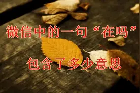 微信中的一句“在吗”包含了多少意思视频封面