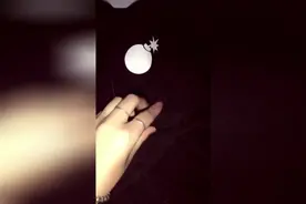 一招解决家里狗狗掉毛的情况，简单粗暴视频封面