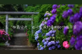 分开，也许是我们最好的归宿，句句戳心视频封面