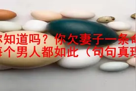 你知道吗？你欠妻子一条命，每个男人都如此（句句真理）视频封面