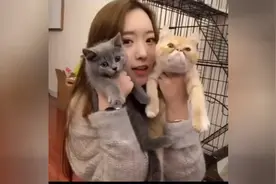 谈一谈最好的爱情观，听完之后你会有很多感悟，晚安