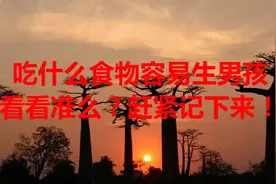 吃什么食物容易生男孩，看看准么？赶紧记下来！
