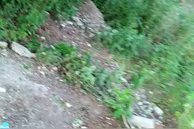 孙家三兄弟百年以后的归宿视频封面