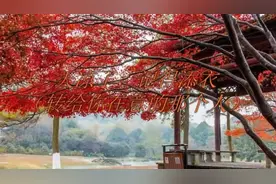 天凉了，记得添衣（转给你在意的那个人）