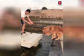 轮胎：小黑斌，你可别吓我，这绝对我坑，别坑我视频封面