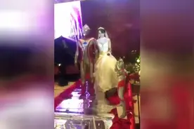 新娘结婚了，新郎是奥特曼视频封面