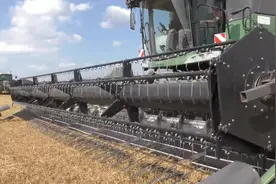 这个履带式联合收割机，收割面积宽，而且收割小麦时自动脱粒视频封面