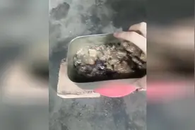 如何热饭最方便，教你一招