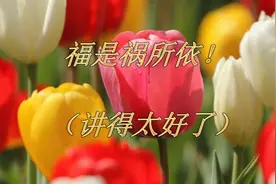 福是祸所依！（讲得太好了）视频封面