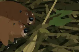 《动物兄弟》小海狸究就是用了这个方法，建造了巨大的水坝视频封面