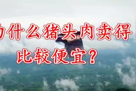 为什么猪头肉卖得比较便宜？哪些人千万不能吃视频封面