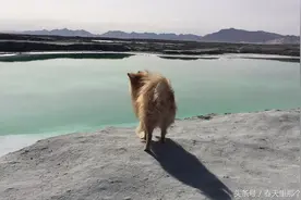 自驾游中国好河山系列 青海省翡翠湖图片