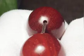庭硕文玩每日一课：3秒辨别小叶紫檀与血檀视频封面
