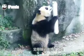 所以结论是：当武林盟主，最主要是要长得好看？视频封面