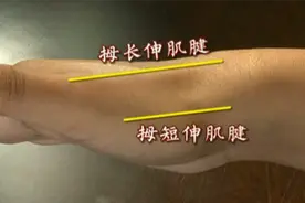 感冒、睡眠不足、压力大引起头痛怎么办？中医推荐了这样一个妙方视频封面