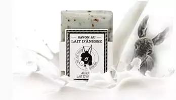 蛋白质含量竟是羊奶牛奶的两倍！你喝过驴奶吗？