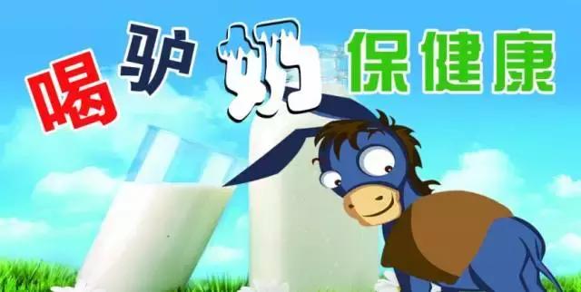 蛋白质含量竟是羊奶牛奶的两倍！你喝过驴奶吗？