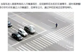 驾考新规：科目三通过学校、公交车站及人行横道操作技巧要点！视频封面