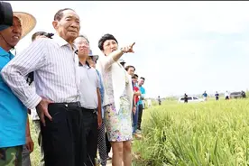 袁隆平再创记录，超级杂交水稻亩产超1千斤，全世界都应该感谢他