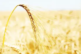 为什么在农村睡觉会觉得睡眠特别好呢？