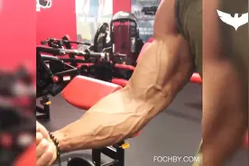 体脂率低于10%的标准肌肉男，到底长啥样？看完这个手臂我服了