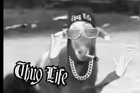 「thug life」大金链 黑墨镜 匪帮人生