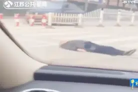 老人栽倒快车道 路过车主用车辆作屏障主动救援视频封面