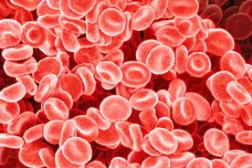 老中医聊人体：血液是否来源于骨髓，它的中医概念是什么