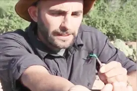 外国人亲身感受一下哪个动物带来的痛感最强烈，网友：活着不好吗视频封面